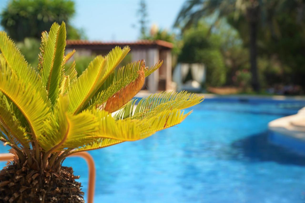 Agroturismo Finca Sa Tanca Кала д'Ор Екстер'єр фото
