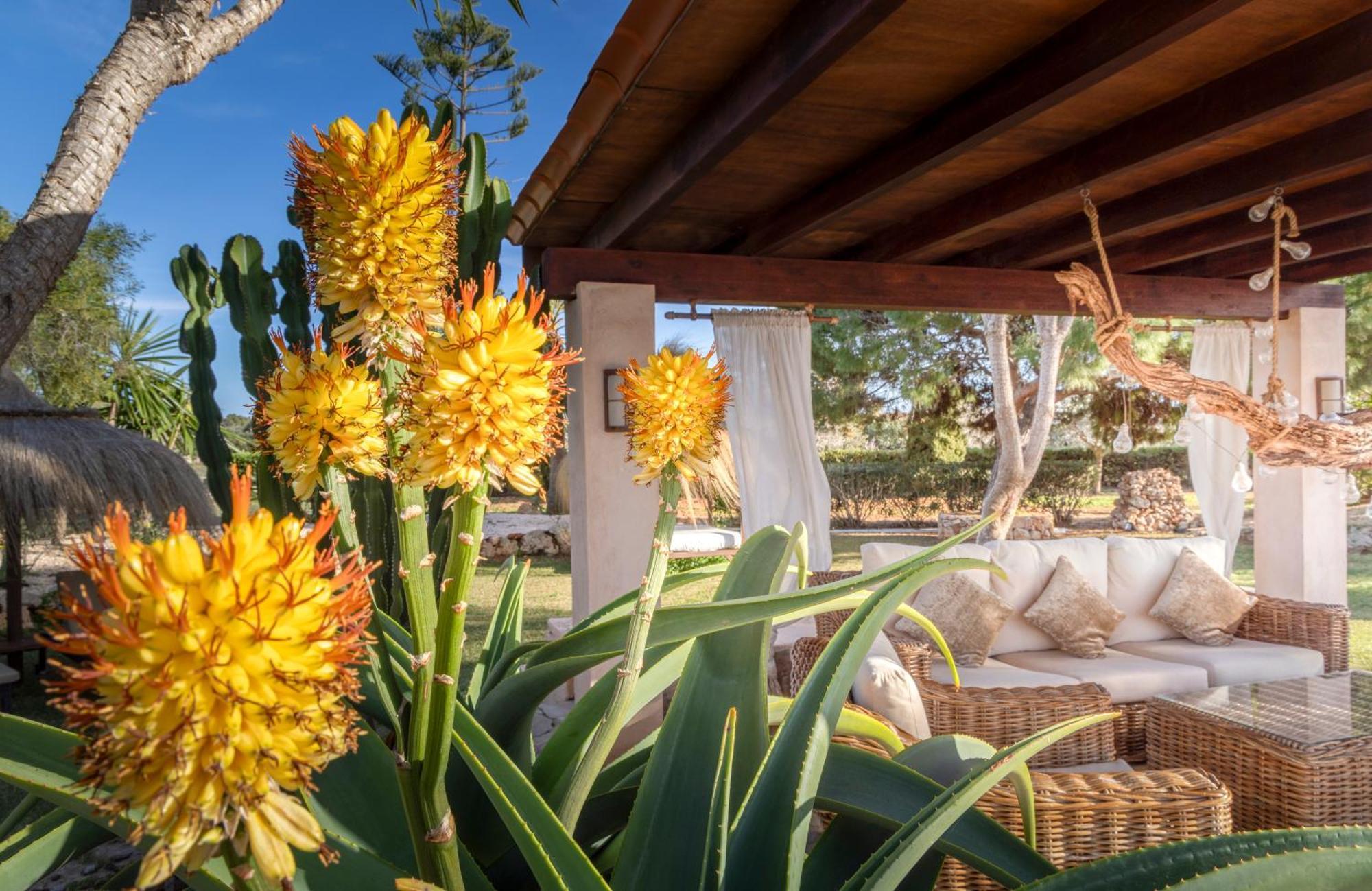 Agroturismo Finca Sa Tanca Кала д'Ор Екстер'єр фото